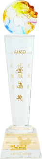 恩佐娱乐成本分析项目荣获csua金龙优胜奖(1)(1)704